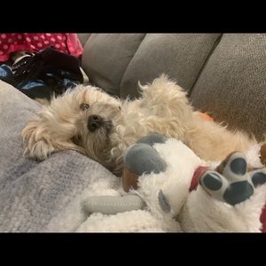 Meet your Posher, Genevieve